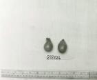 Click for 1 image(s) for this accession. FRUIT